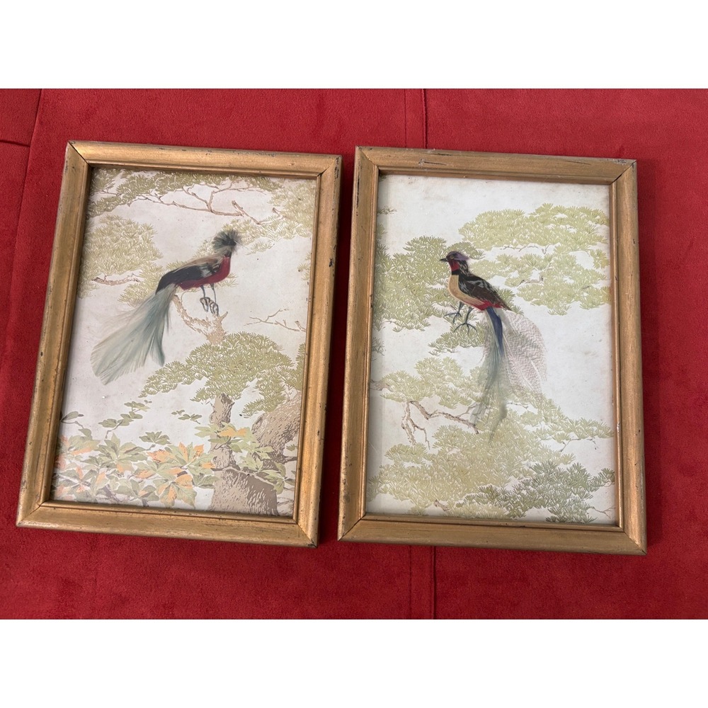 Vintage Mexican Feather Art Pair Framed Exotic Birds Gold Tone Wall Decor